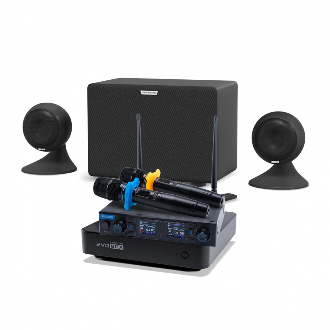караоке-комплект EVOBOX + EvoSound Sphere 2.1 в Бийске