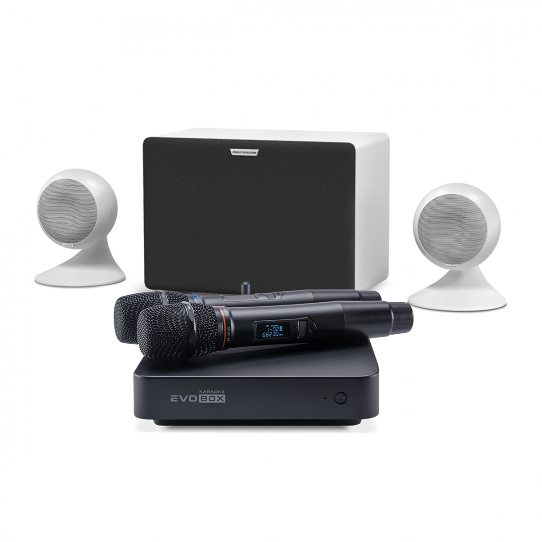 караоке-комплект EVOBOX Classic + EvoSound Sphere 2.1 в Бийске
