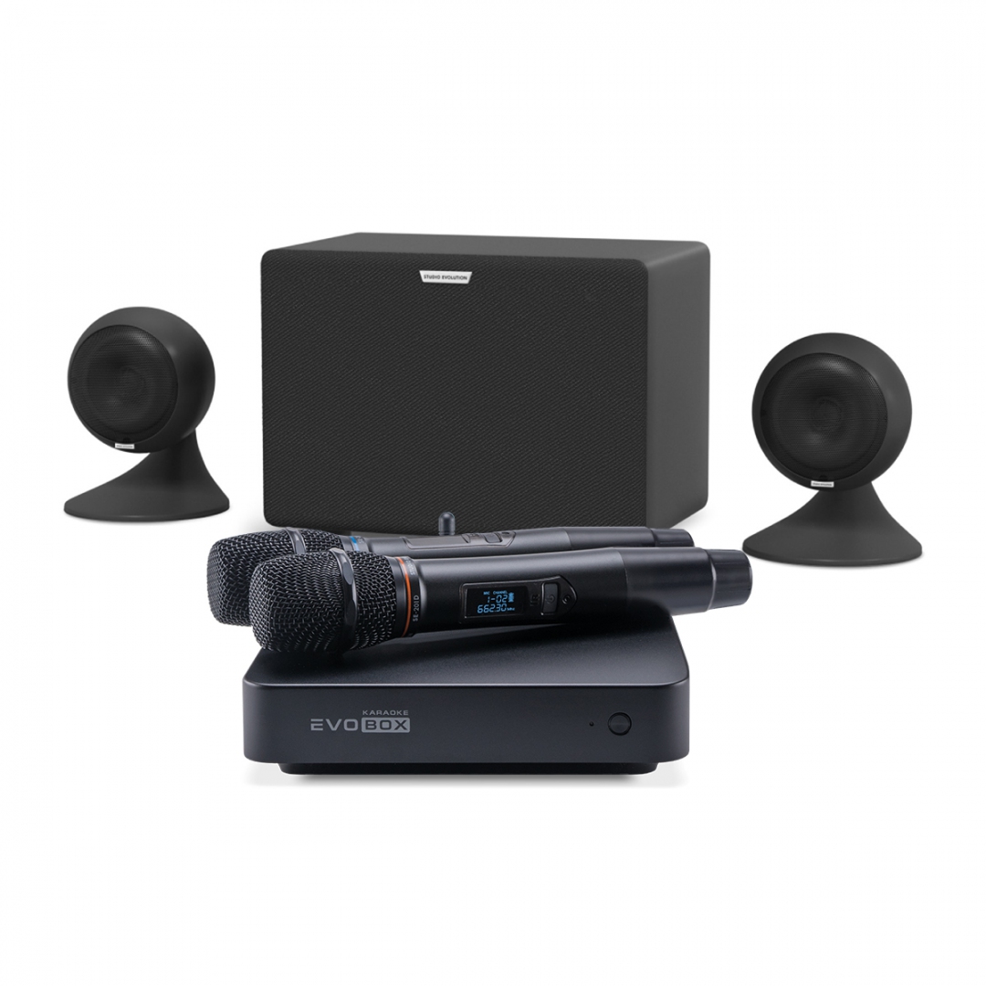 караоке-комплект EVOBOX Plus + EvoSound Sphere 2.1 в Бийске
