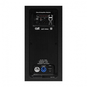 Активная акустическая система AST-310A в Бийске