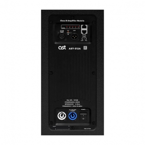 Активная акустическая система AST-312A в Бийске