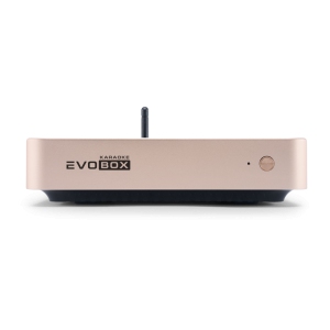 EVOBOX Classic караоке-система для дома в Бийске