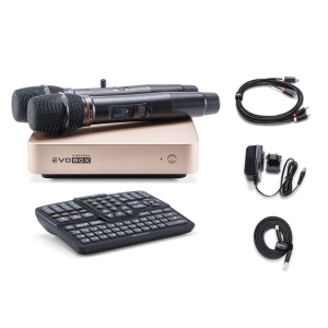 EVOBOX Classic караоке-система для дома в Бийске
