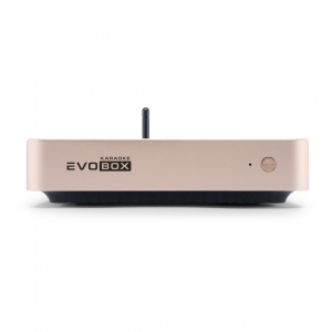 EVOBOX Plus караоке-система для дома в Бийске