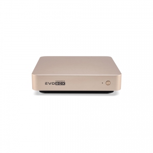 EVOBOX с микрофонами в Бийске